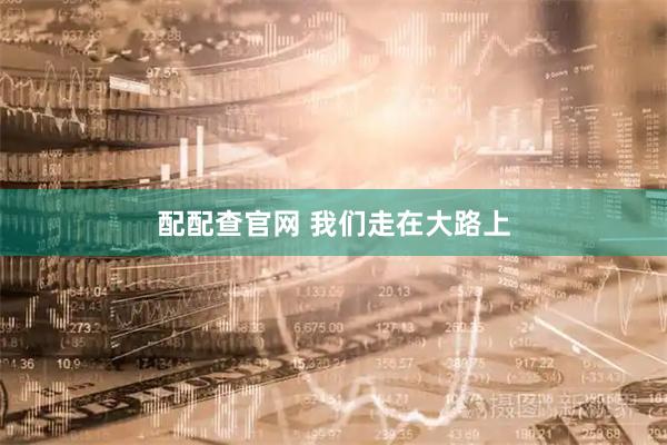 配配查官网 我们走在大路上
