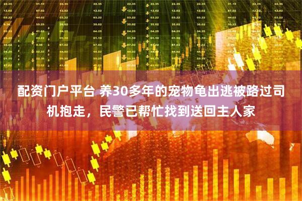 配资门户平台 养30多年的宠物龟出逃被路过司机抱走，民警已帮忙找到送回主人家
